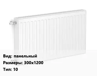 Радиатор стальной панельный 300х1200 10